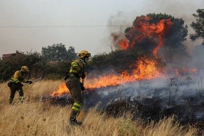 السلطات الإسبانية: حرائق الغابات في مدريد بلغت ذروتها وإخمادها بات مستحيلاً