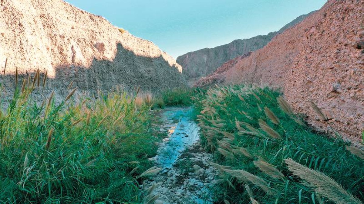 "وادي الوريعة" يحصد ترحيبا أمميا وإشادة عالمية