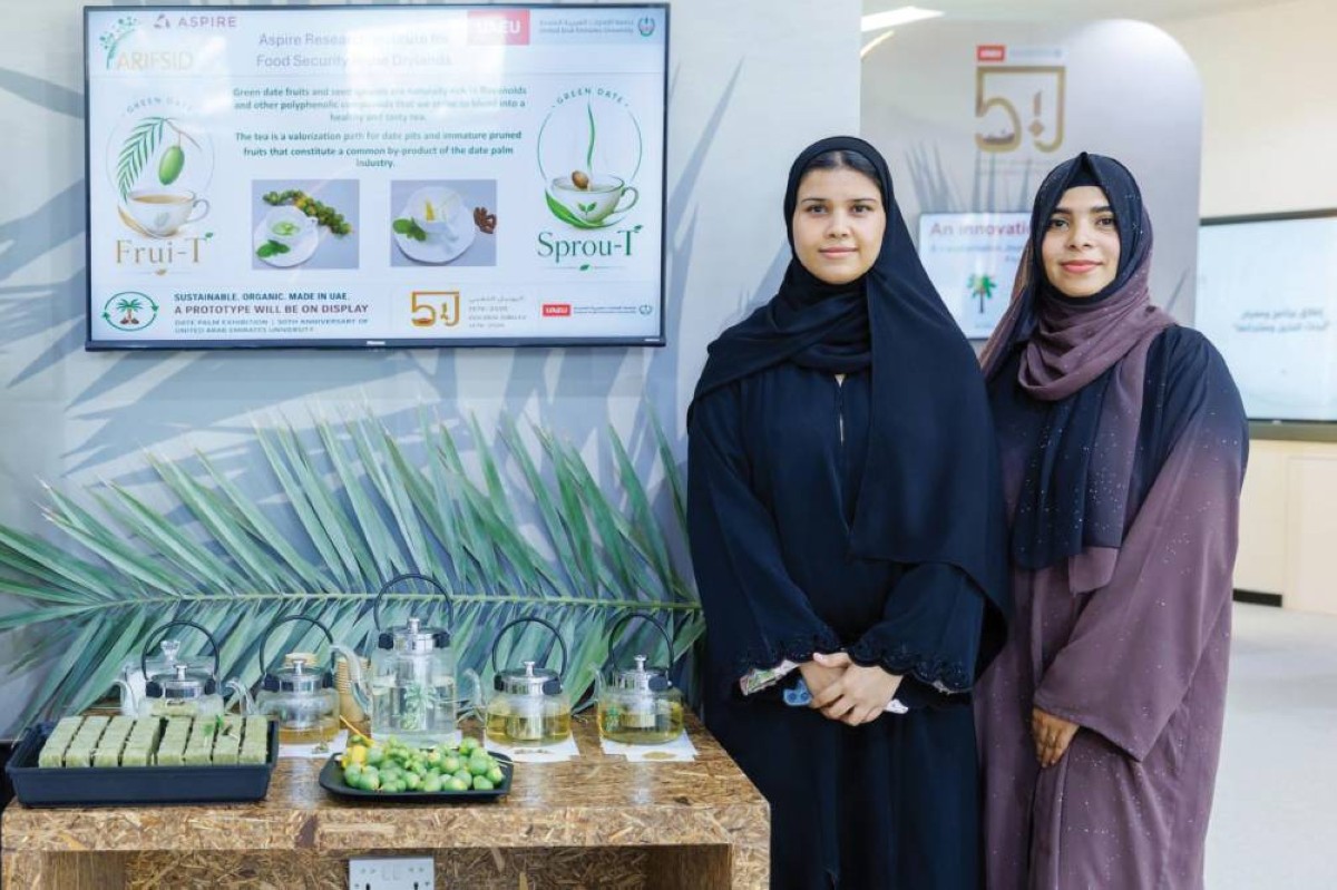 فريق بحثي من «جامعة الإمارات» يبتكر شاياً من براعم النخيل وثمار البلح الخضراء
