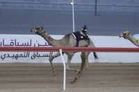 «زاخر» تحصد أول أشواط «الحقايق» بأفضل توقيت في مهرجان العين للهجن