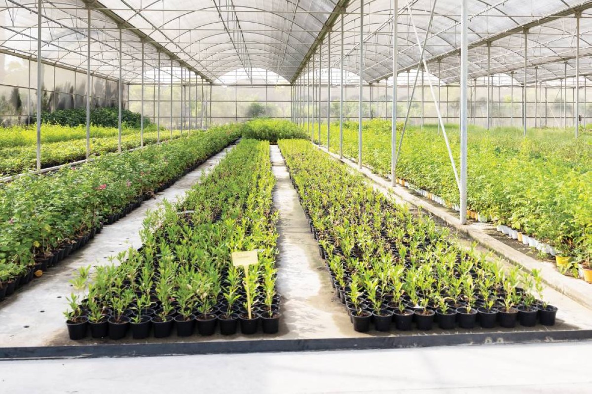 المبادرة تعزز جاذبية المساحات الخضراء في دبي وترتقي بمعايير الاستدامة