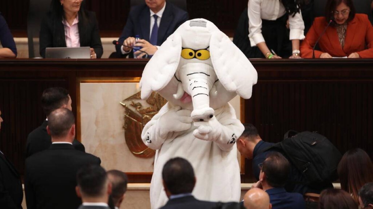 الفيل الأبيض مشرعاً في البرلمان الكولومبي