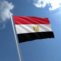 مصر تطرح مزايدة عالمية للتنقيب عن النفط والغاز في 14 منطقة