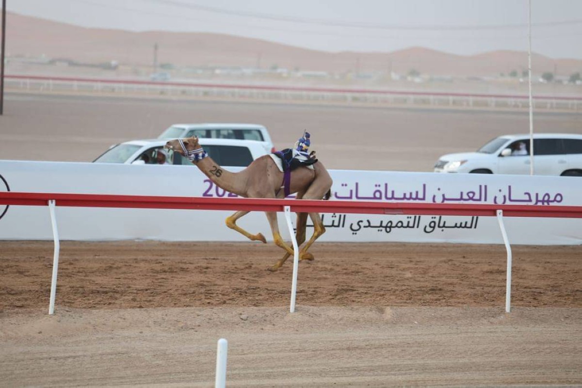 11 سبتمبر انطلاق التمهيدي الثالث لمهرجان العين للهجن