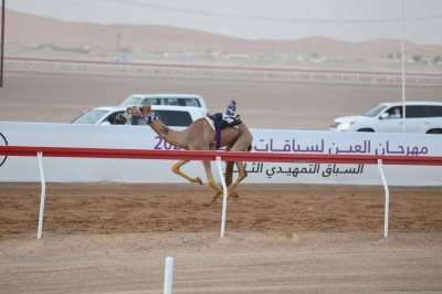 11 سبتمبر انطلاق التمهيدي الثالث لمهرجان العين للهجن