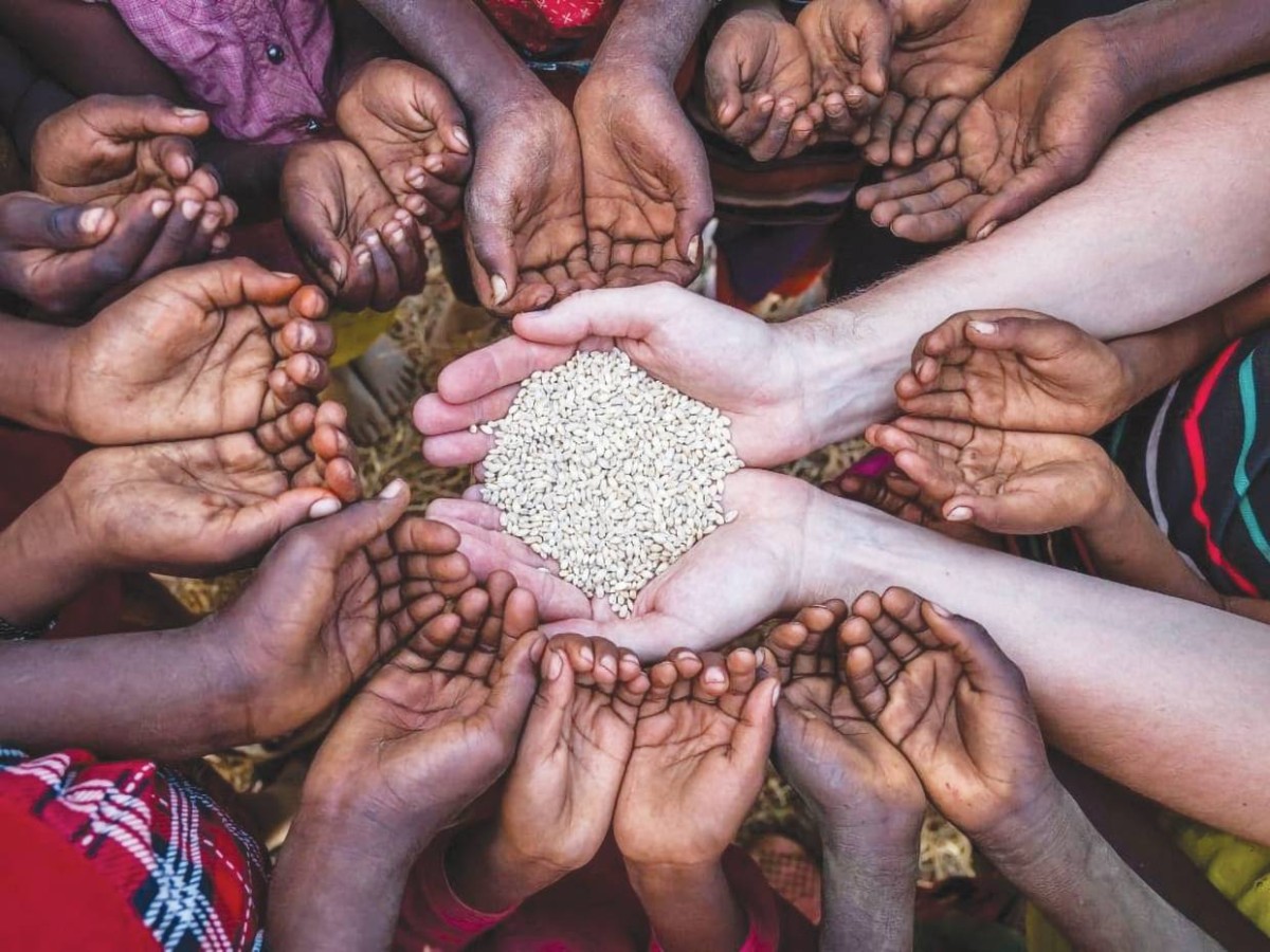 الأمن الغذائي العالمي ضحية لحرب أوكرانيا