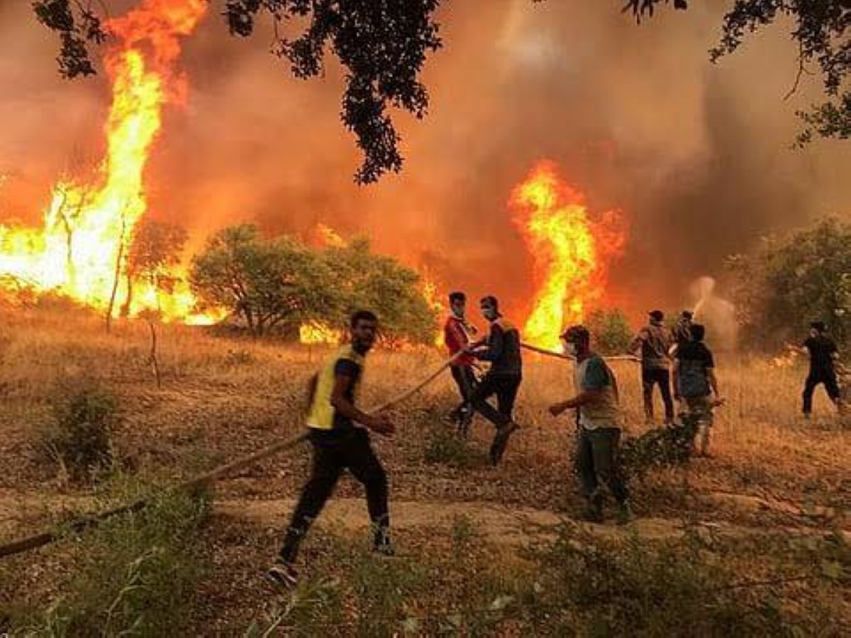 12 قتيلاً جراء حرائق الغابات في الجزائر