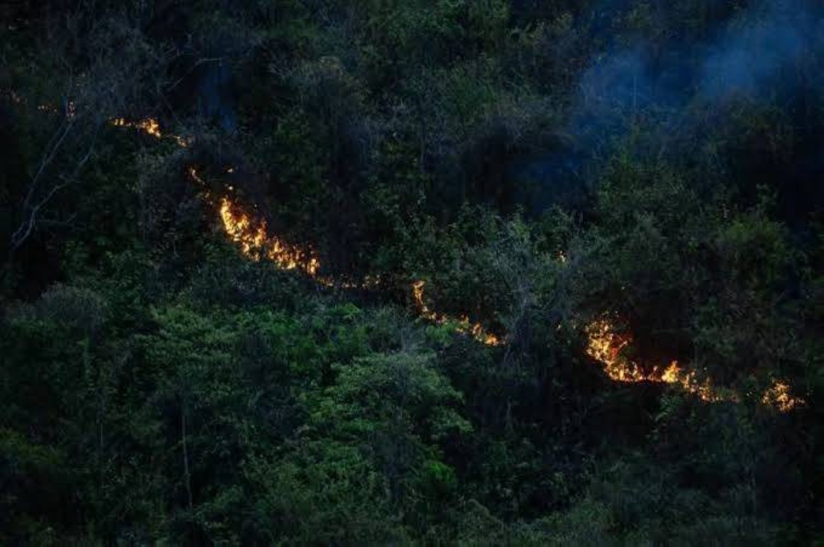 كولومبيا تكافح 18 حريقاً نشطاً في الغابات