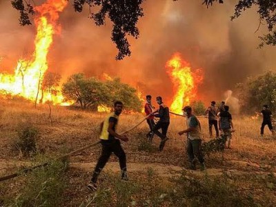 12 قتيلاً جراء حرائق الغابات في الجزائر