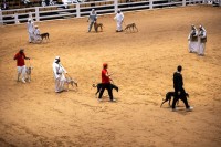 طلبة مدارس أبوظبي يستكشفون الموروث الإماراتي بمعرض أبوظبي للصيد