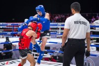 اتحاد المواي تاي والكيك بوكسينج يُطلق أجندة «موسم أبطال الإمارات» 2026-2027