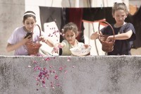 هدنة غزة تحت نار إسرائيل.. والاستيطان يلتهم الضفة