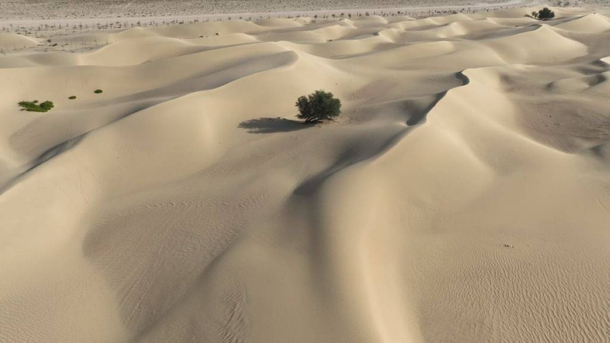 محمية دبي الصحراوية.. نموذج وطني لصون التنوع البيولوجي واستدامة النظم البيئية