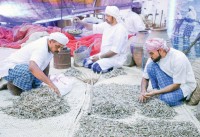 المهرجان فرصة للتعريف بأحدث حلول الفرز والتجفيف والتعبئة والتغليف |