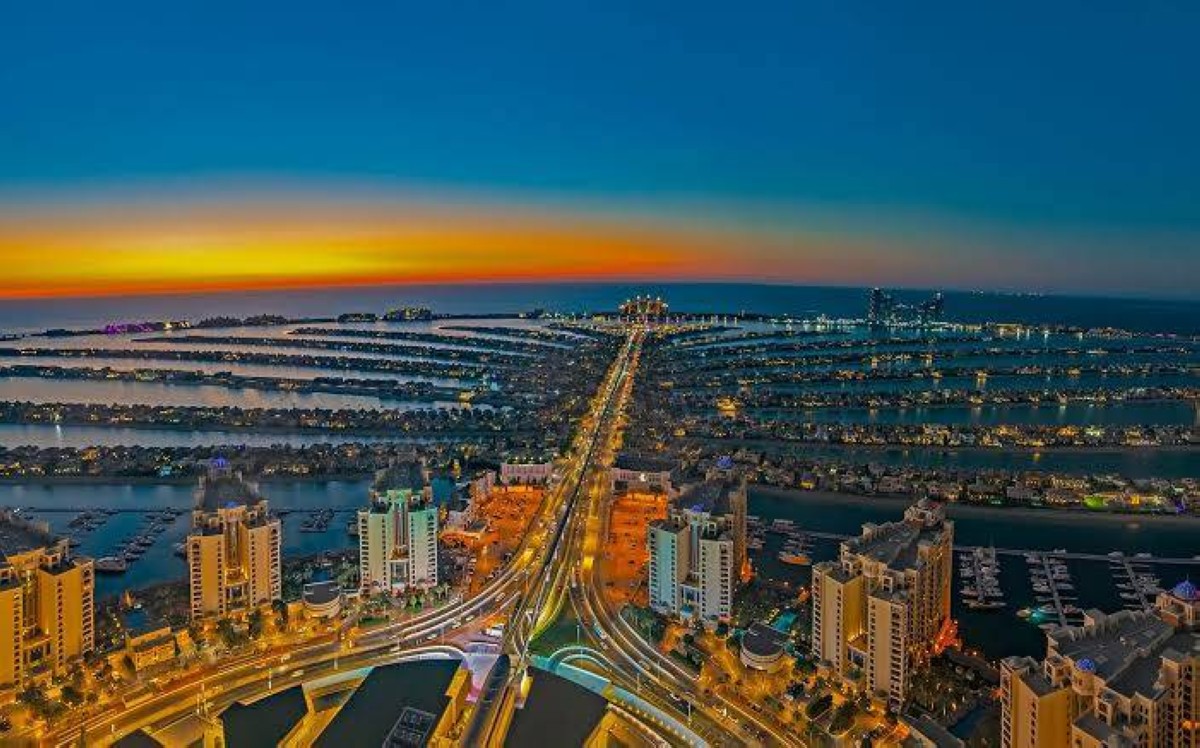 نخلة 2