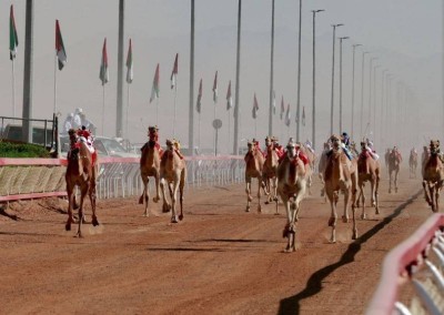 الرياضات التراثية.. ركيزة للهوية الوطنية وجسر للتواصل الحضاري في الإمارات