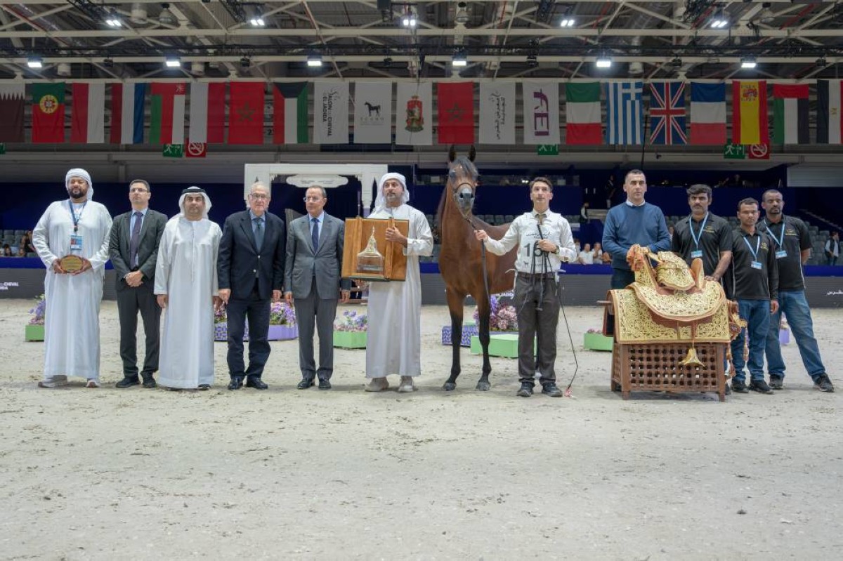 5 منها لمربط دبي.. 12 لقباً للإمارات في بطولة المغرب الدولية لجمال الخيل العربية