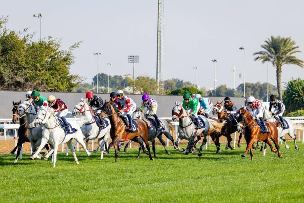 «مضمار أبوظبي» يفتتح «الموسم الوطني» لسباقات الخيل