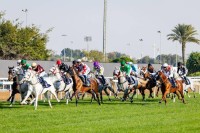 «مضمار أبوظبي» يفتتح «الموسم الوطني» لسباقات الخيل