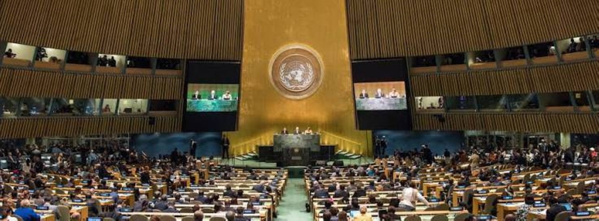 في يومها العالمي.. الأمم المتحدة تعيد ترتيب بيتها بعد 81 عاماً