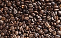 هل ستختفي هذه المأكولات من كوكبنا قريبا؟