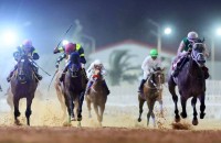 15 خيلًا تتنافس غدًا على كأس رئيس الدولة في بنغازي