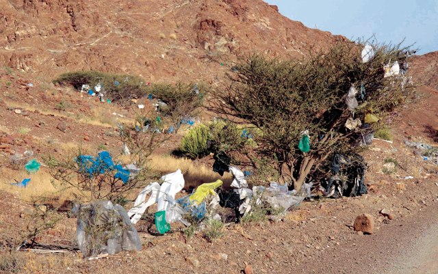 الصورة : الأكياس البلاستيكية إضرار بالبيئة وتشويه للمنظر العام (من المصدر)