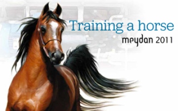 الصورة: الصورة: Training a horse Meydan 2011