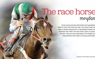 الصورة: الصورة: The Horse Race