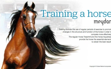 الصورة: الصورة: Training a Horse