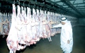 الصورة: الصورة: تأمين احتياجات البحرينيين من اللحوم