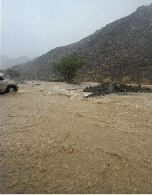الصورة : أمطار غزيرة و جريان الشعاب في العجيلي ( المنطقة الشرقية )