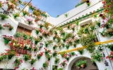 الصورة: الصورة: زهور باحات قرطبة.. مهرجان للحفاظ على تراث الأندلس
