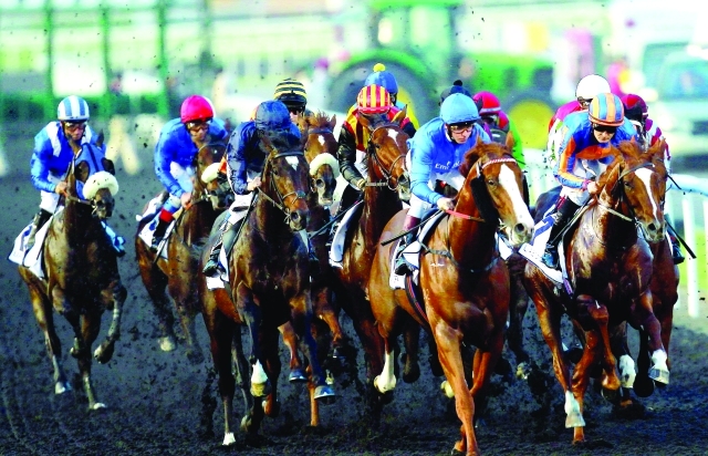الصورة : أقوى الخيول العالمية تتنافس في ميدان  -   البيان