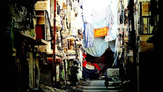 الصورة : «حلب إلى البراري » لعمار عبد ربه  ــ تصوير - سالم خميس