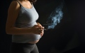 الصورة: الصورة: التدخين أثناء الحمل يصيب الأجنة من الإناث بالسكري