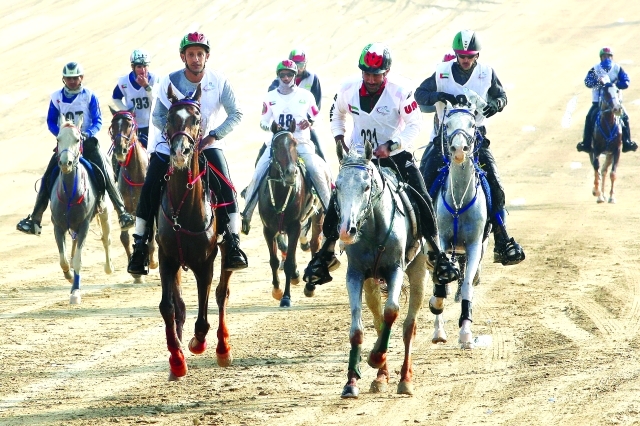 الصورة : ■ هيئة عربية لسباقات التحمل للخيول ترى النور قريباً  |  البيان