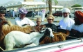الصورة: الصورة: الهبطات مشهد اقتصادي عماني حي