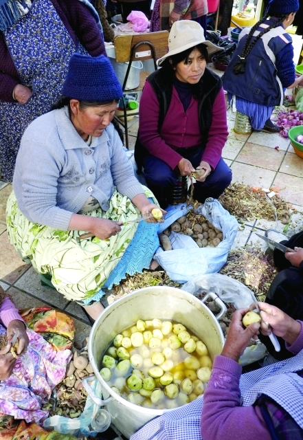 الصورة : البطاطا ستخدم خطط الصين في تحسين الاستدامة الزراعية  ــ   رويترز