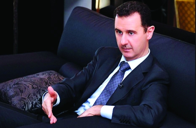 الصورة : الأسد
