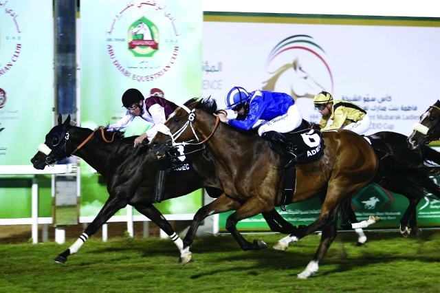 الصورة : ■ نخبة  الخيول العربية  تتنافس  في المهرجان  |  البيان