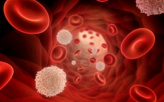 الصورة: الصورة: اختبار للدم يكشف عودة سرطان الثدي للمتعافيات منه