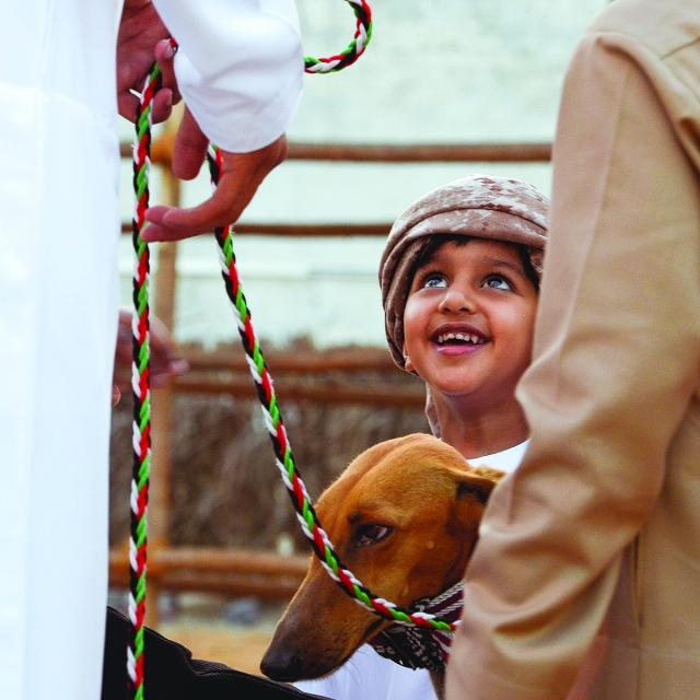الصورة : ■ السلوقي من الحيوانات التي استخدمها البدو