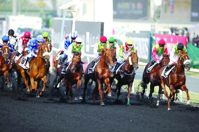 الصورة : ■ نخبة الخيول العربية تتنافس في الجولة الثالثة لكأس مكتوم  |  أرشيفية