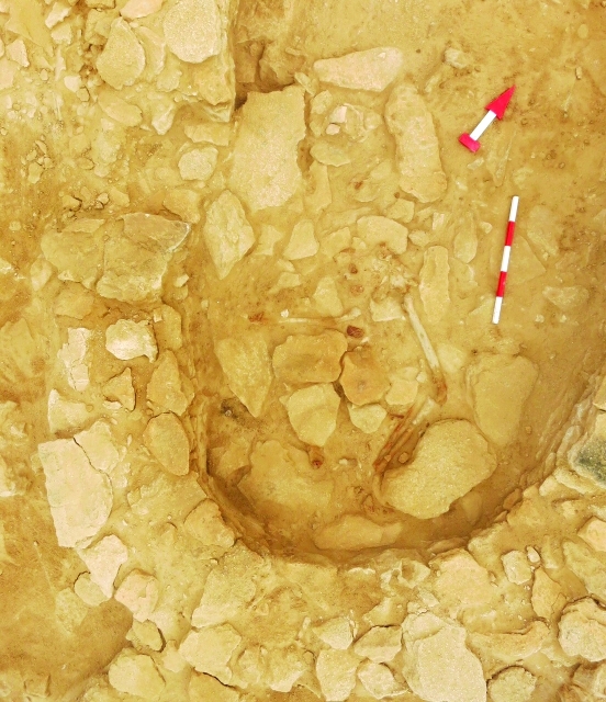 الصورة : حفريات تكشف عن أقدم المستوطنات الإنسانية