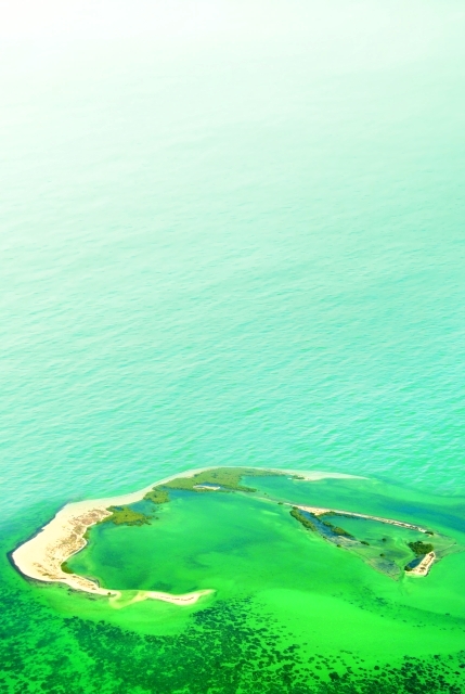 الصورة : جزيرة بوطينة من عجائب الطبيعة الفريدة في العالم