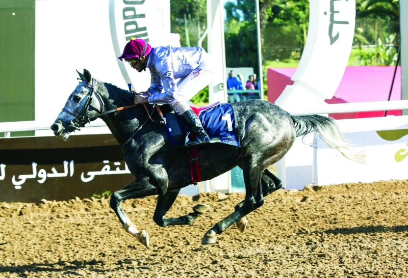 الصورة : ■ النشمي بطل الجولة الأخيرة لكأس رئيس الدولة للخيول.  تصوير - عبد الله خليفة
