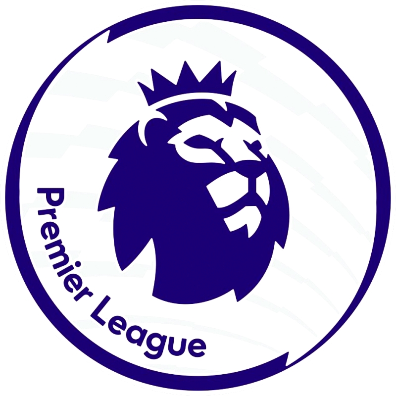الصورة : 2016-17-premier-league-sleeve-patch-2