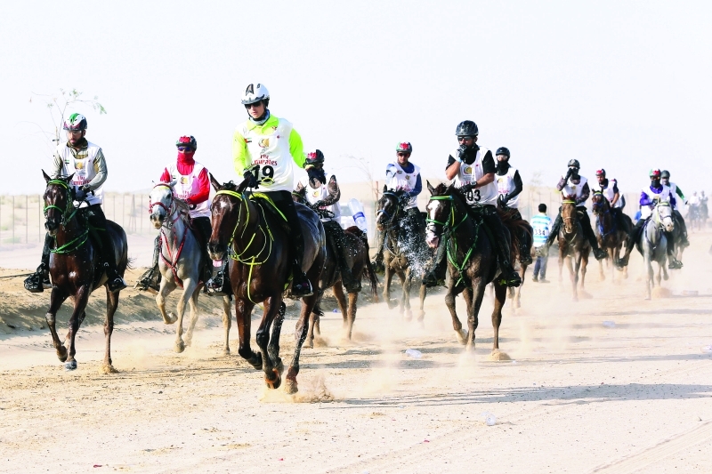 الصورة : ■ سباقات القدرة وضعت الإمارات بين الدول الرائدة فيها  |  البيان