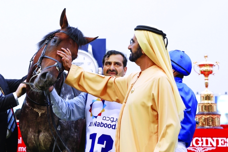 الصورة : ■  محمد بن راشد يربت على أحد خيول جودلفين الفائزة   |  تصوير- خليفة اليوسف